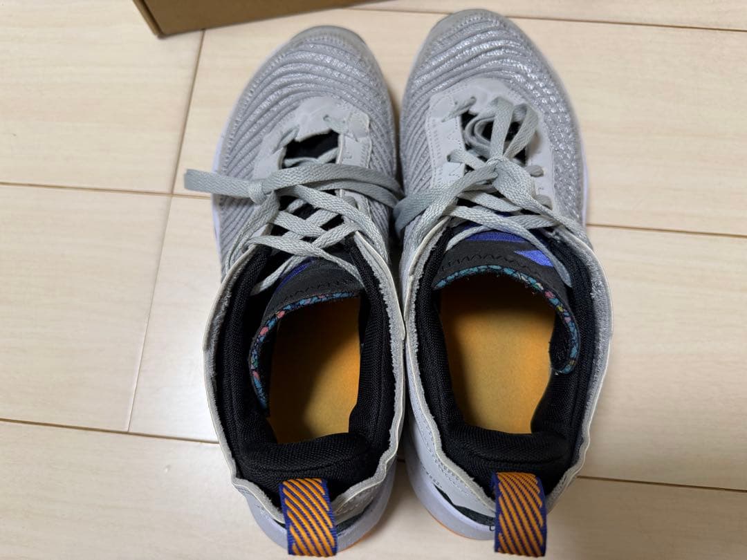 NIKE◇JORDAN LUKA 1 NEXT NATURE◇バッシュ　27cm