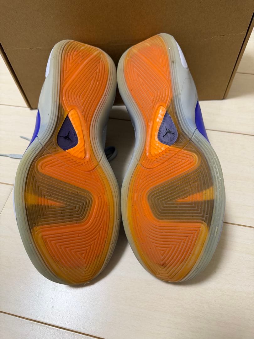 NIKE◇JORDAN LUKA 1 NEXT NATURE◇バッシュ　27cm