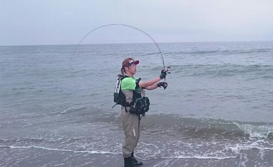【Fishman/フィッシュマン】Beams inte 7.9UL /*