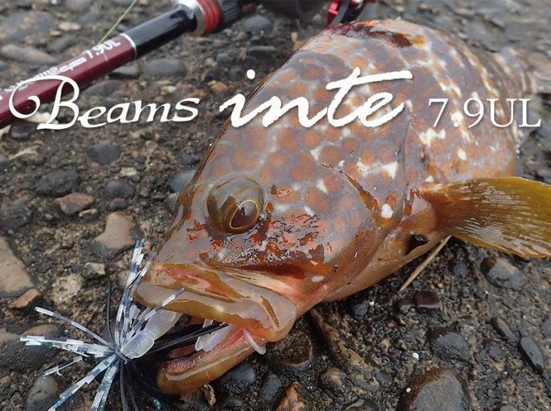 【Fishman/フィッシュマン】Beams inte 7.9UL /*