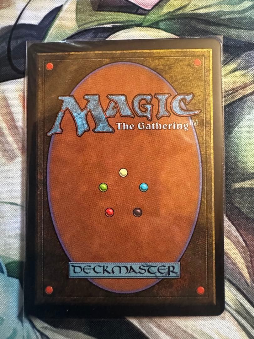 不毛の大地 Magic: The Gathering 日本語版