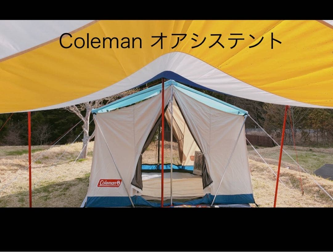 【あらこう】Coleman オアシステント