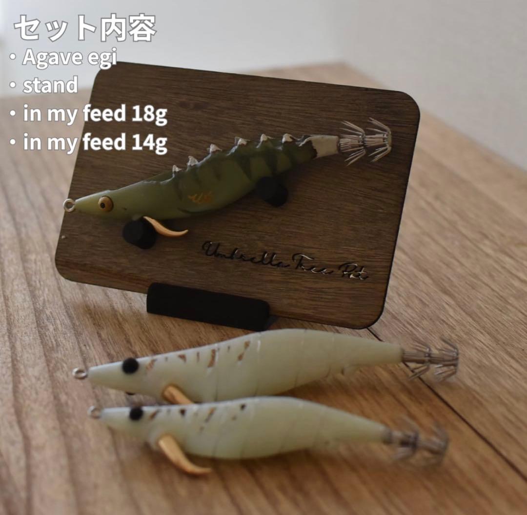 新品　Umbrella Tree Pot Agave egi アガベ エギ限定