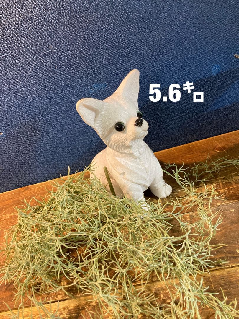 A チワワ　ガーデニング雑貨アンティーク　フラワーガーデン　オーナメント　犬