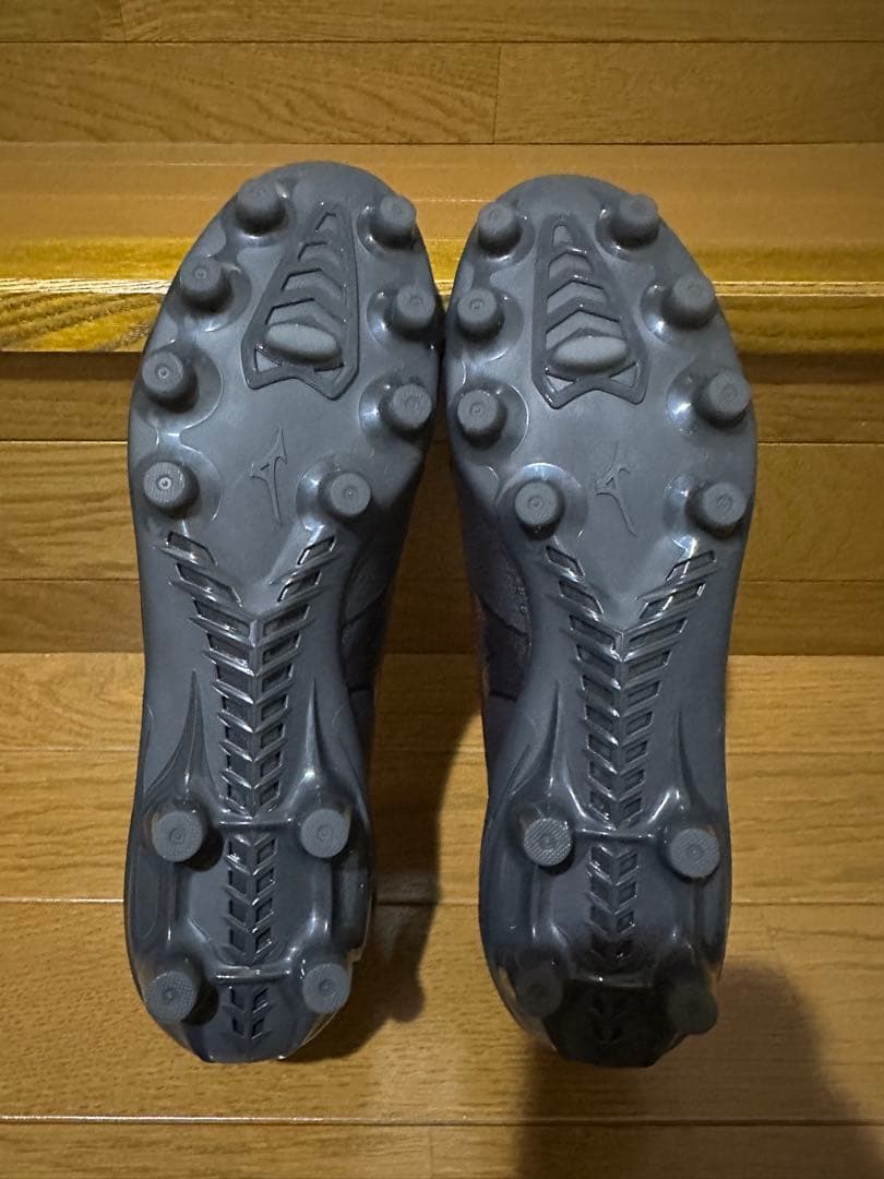 ミズノアルファIIジャパンLtd P1GA859460 25.0cm