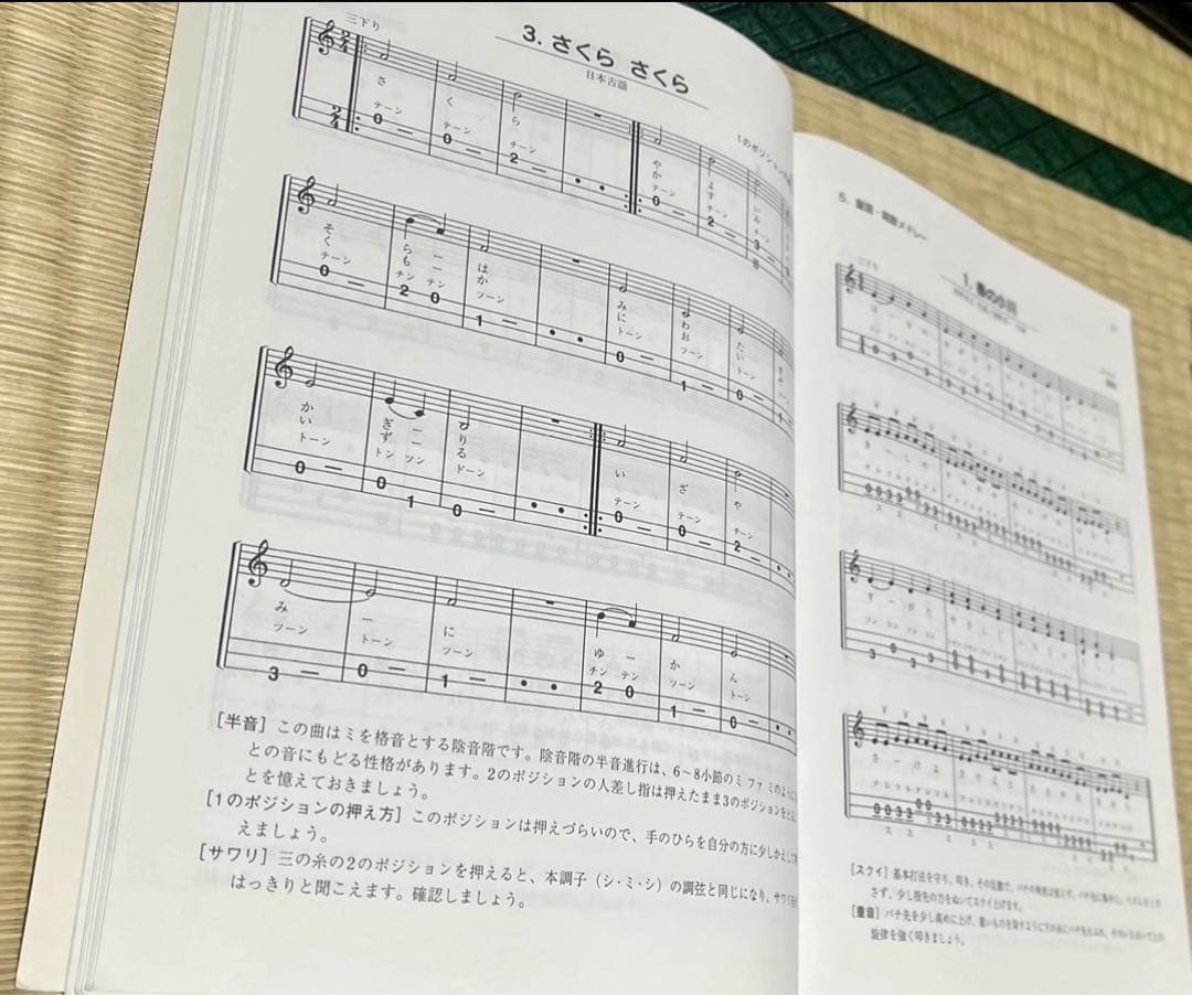 三味線 細棹 長唄 初心者・入門セット 届いてすぐに演奏可能