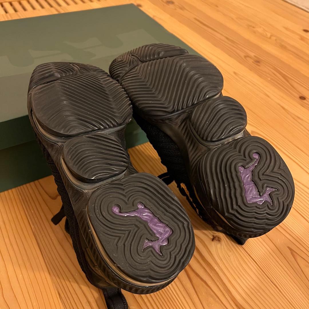 【NIKE】LEBRON 16 レブロン16 ナイキ　スニーカー　バスケット