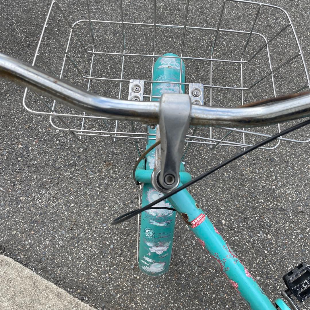 エレクトラ　ビーチクルーザー　蓮の花