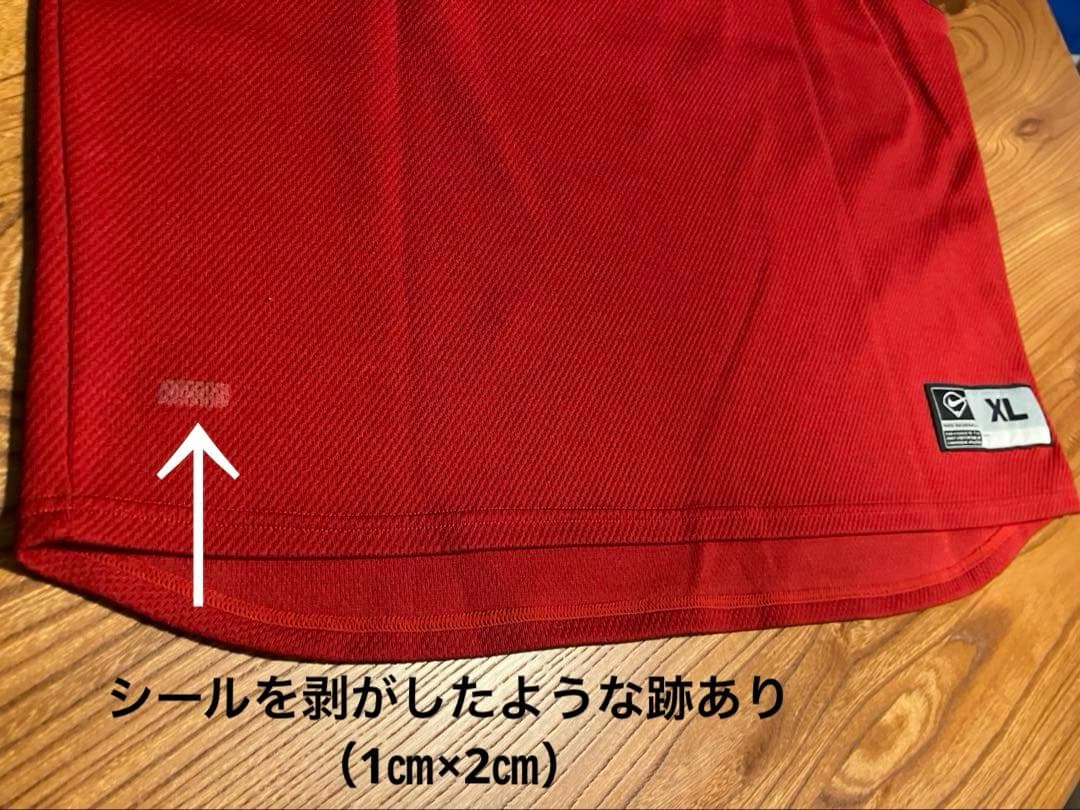 東海大相模　ベースボールTシャツ　無限　赤