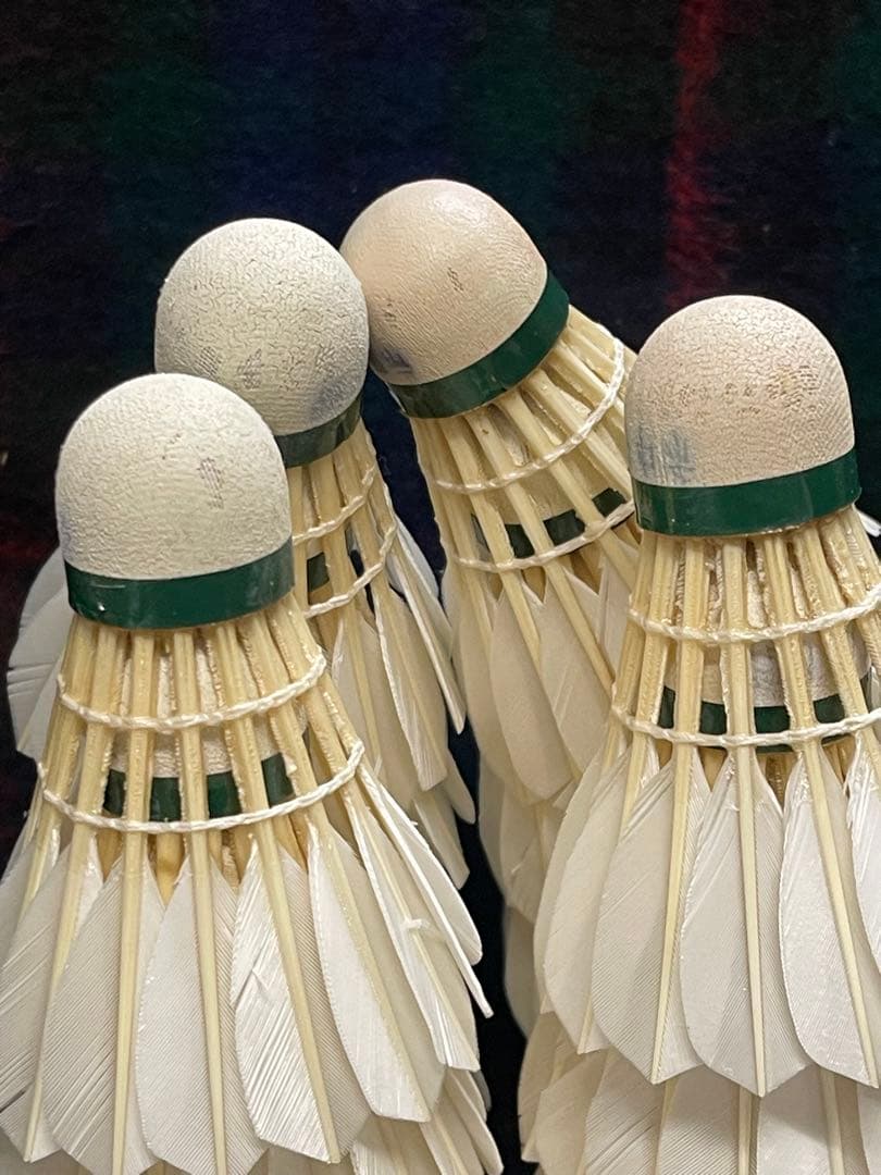 YONEX バドミントン　レトロシャトル　ヨネックス　旧ロゴ　筒付き　ゴーセン