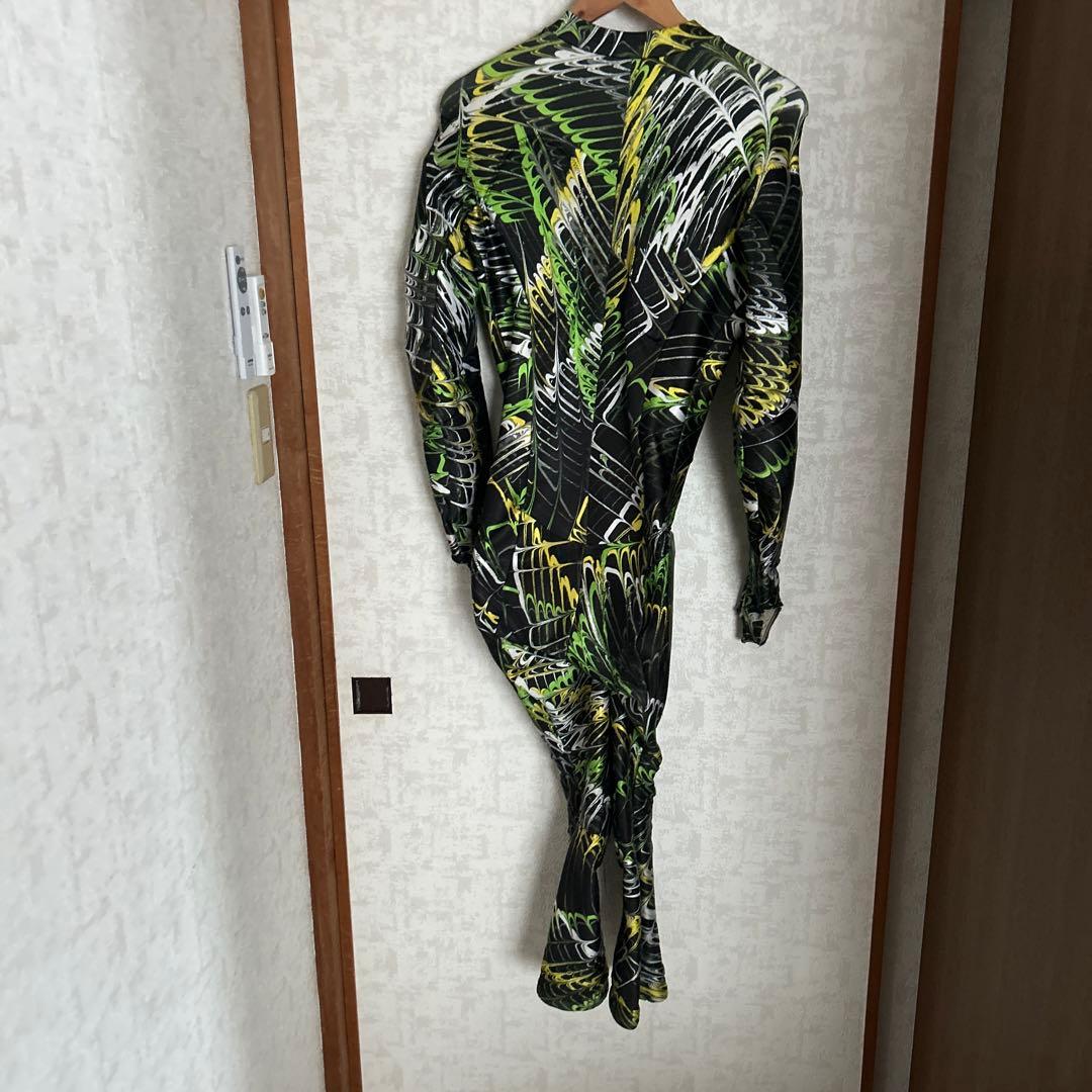 フェニックス　ボディスーツ　大会などにどうぞ！