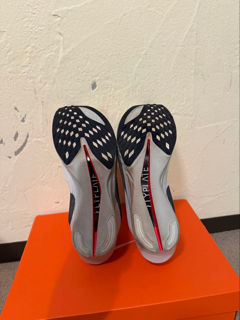 NIKE ストリークフライ2 26.5