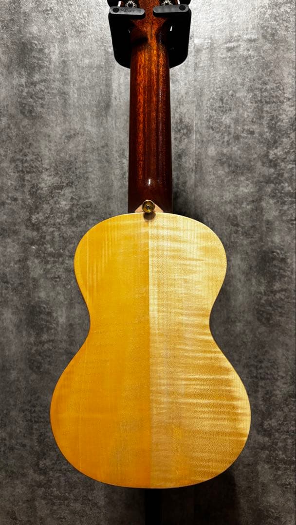ギター SH GUITARS UG-301