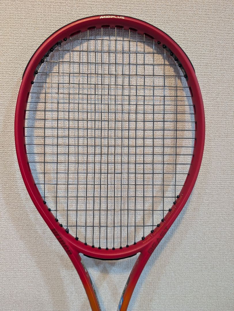 エイジ　プリンス ビースト O3 100 300g G2