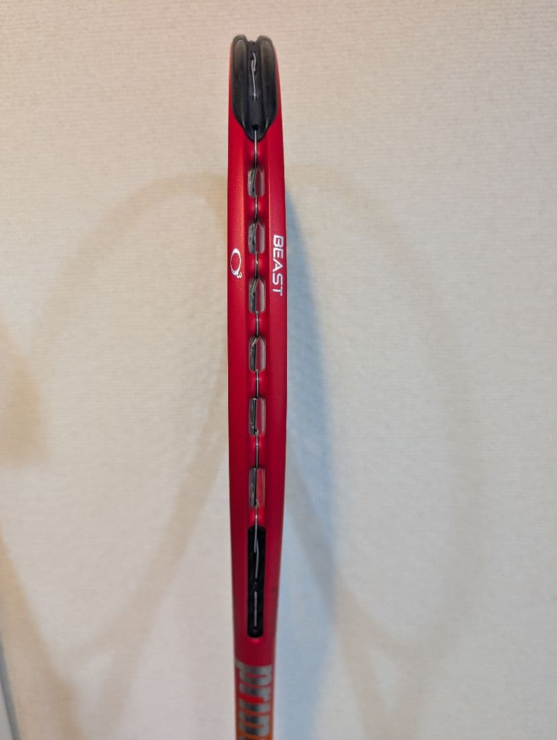 エイジ　プリンス ビースト O3 100 300g G2