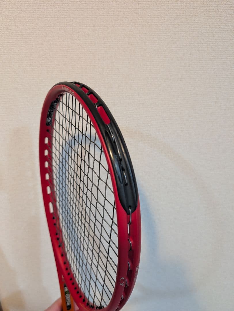 エイジ　プリンス ビースト O3 100 300g G2