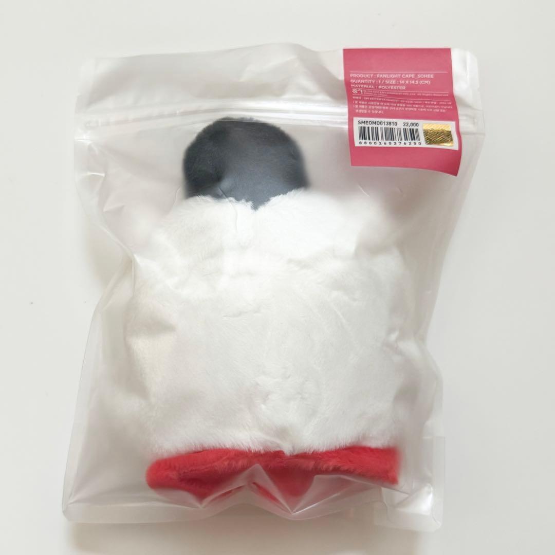 RIIZE ソヒ ペンライトカバー トルビョン FANLIGHT CAPE
