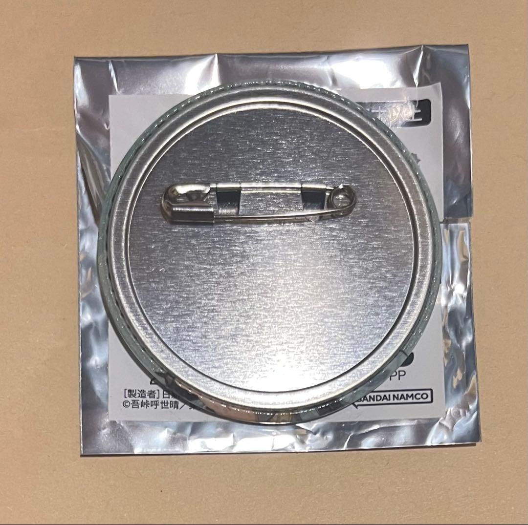 残1 鬼滅の刃 無一郎　ナンジャタウン いこいの里巡り　缶バッジ コレクション