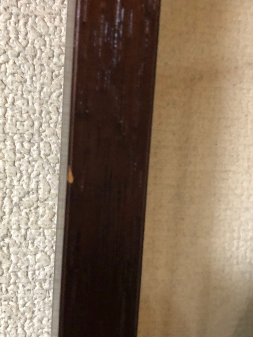 パネル　モンステラ Friedrichsthalii 特大62cm角