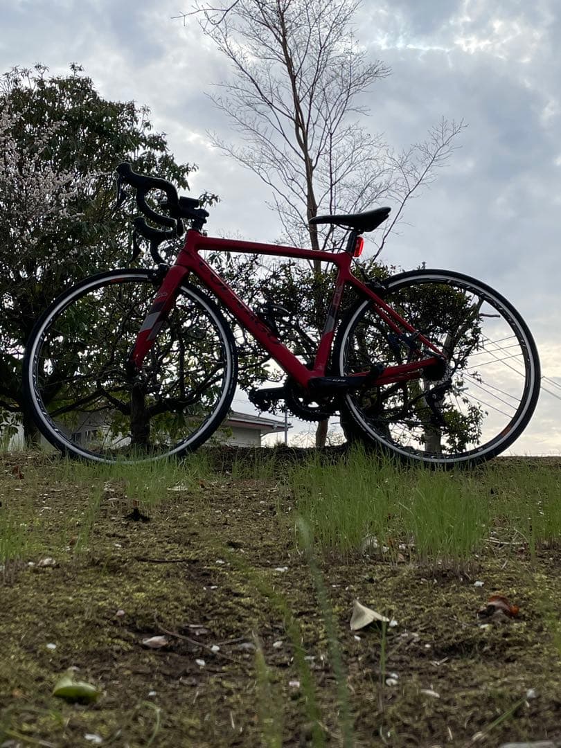 COLNAGO カーボンロードバイク レッド