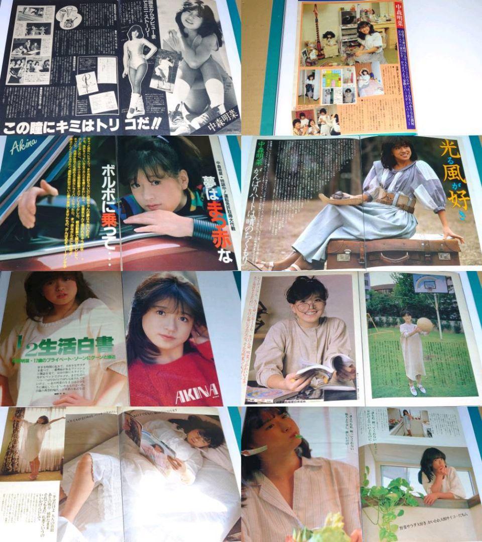 中森明菜　1982年〜1993年 大量　切り抜き　ファイル　2冊　120P