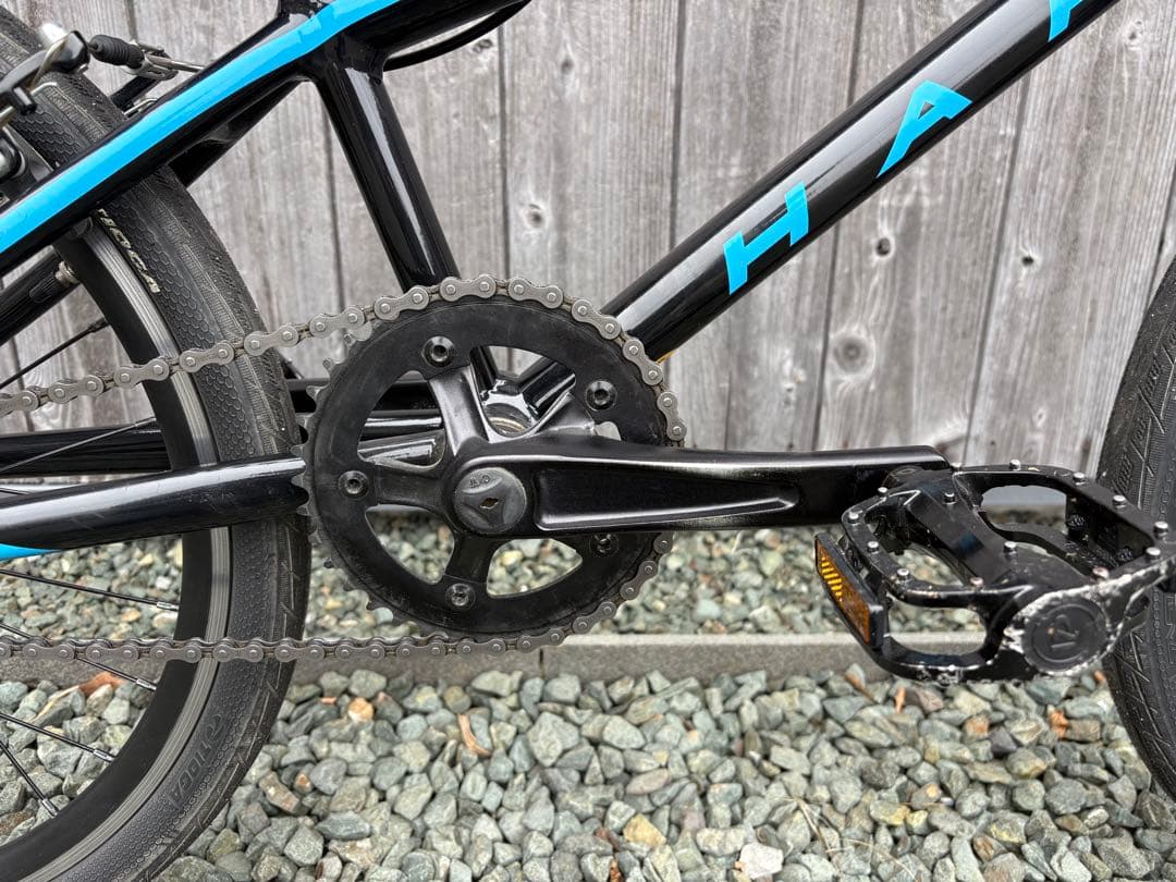 自転車本体 Haro BMX 2020 RACE LITE EXPERT