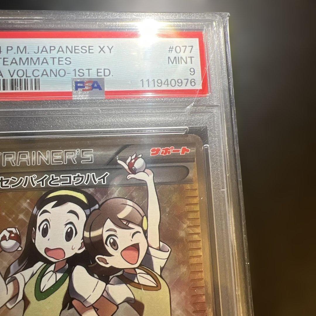 センパイとコウハイ SR PSA9