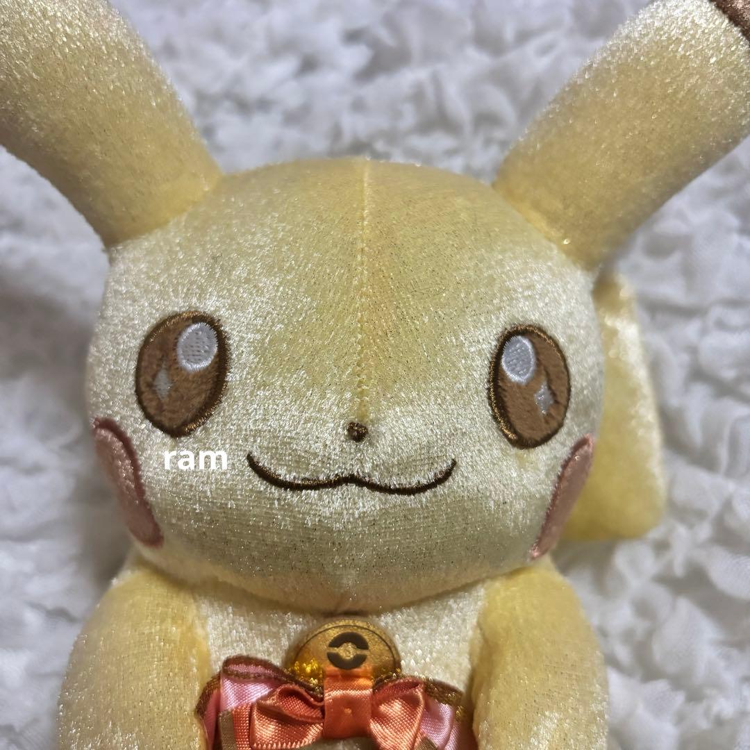 お顔厳選　30th記念　ピカピカ！ピカチュウ　ぬいぐるみ　マスコットキーホルダー