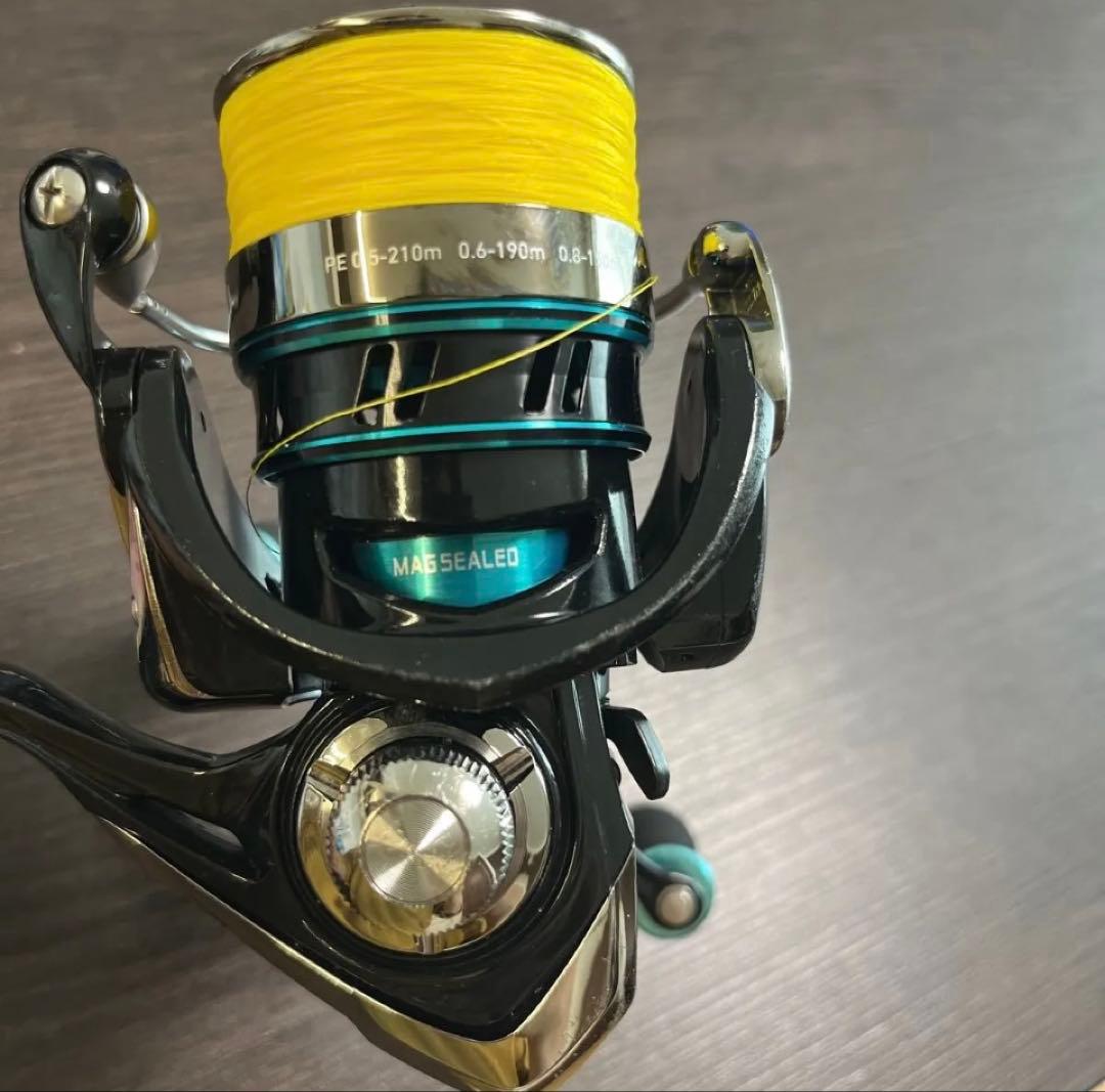 DAIWA EmeraLdasエメラルダス 2508PE-H-DH