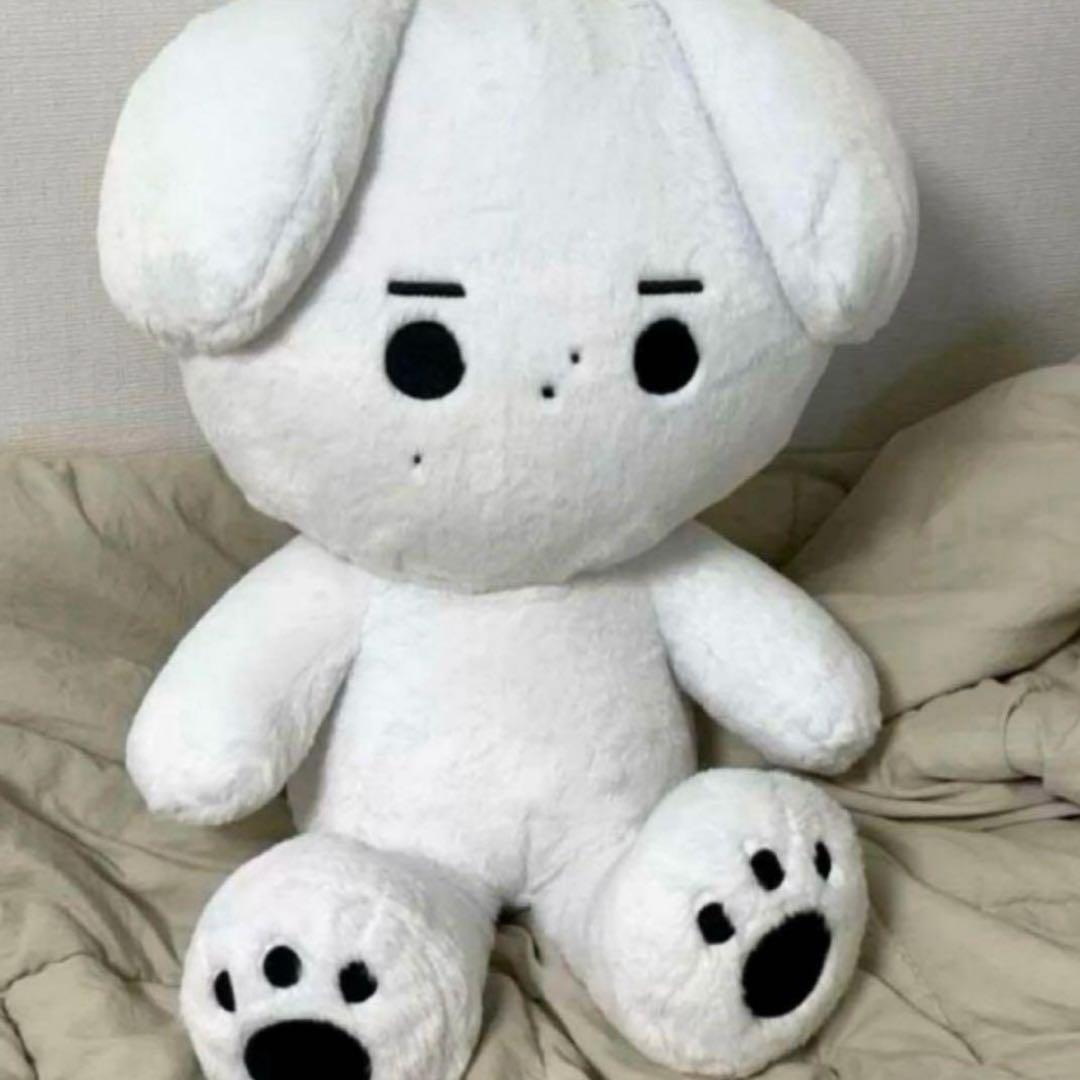 enhpyen ソンフン　ぬいぐるみ　40cm 新品　マスター