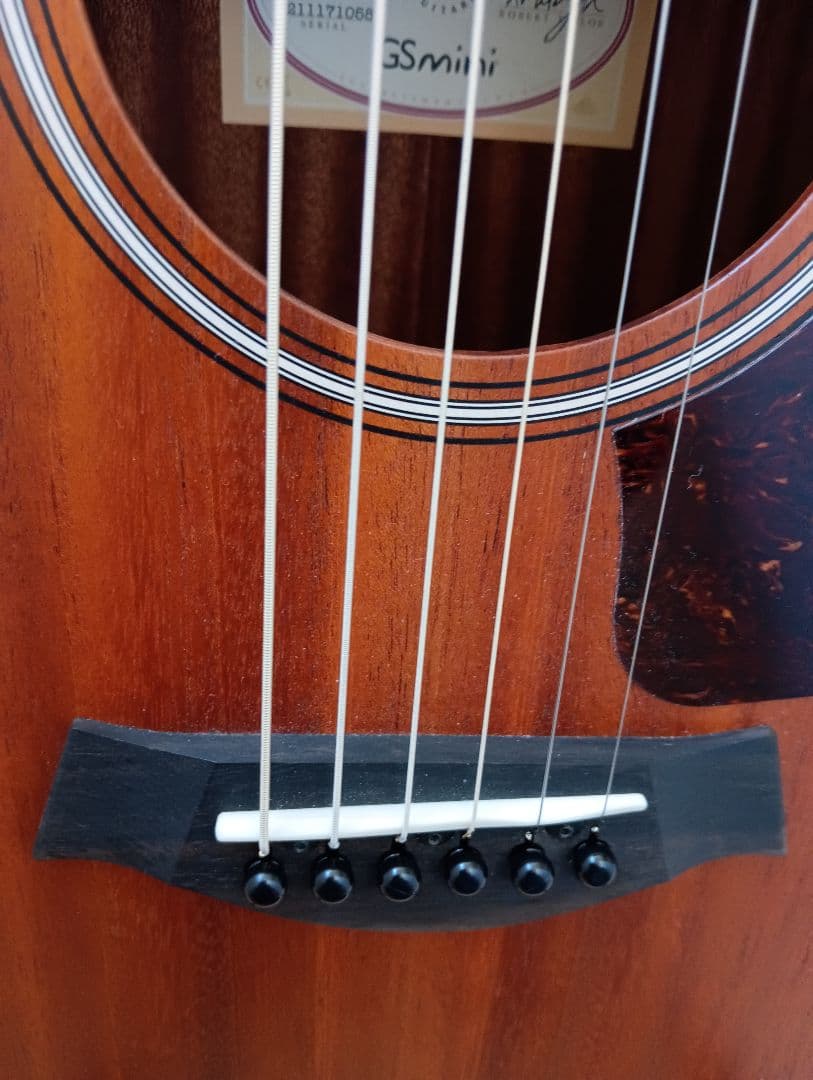 Taylor GS Mini-e Mahogany　pickup付　専用ケース付