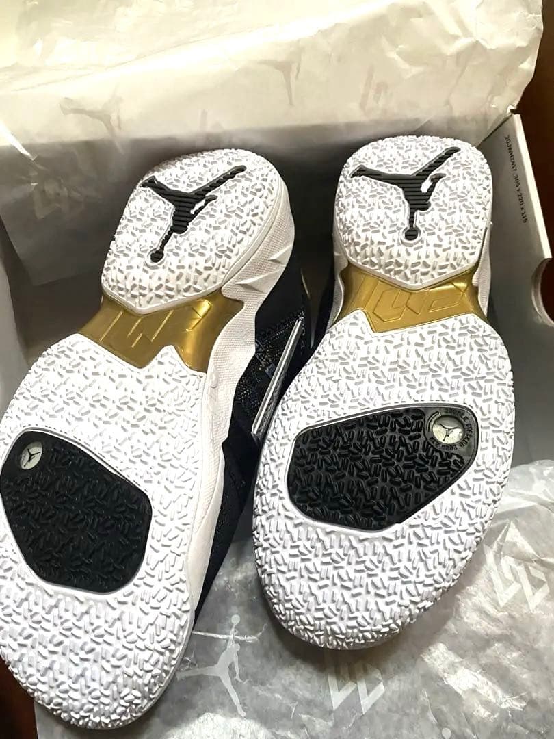 新品 タグ付き Jordan ZERO4 WN 4 スニーカー 25㎝