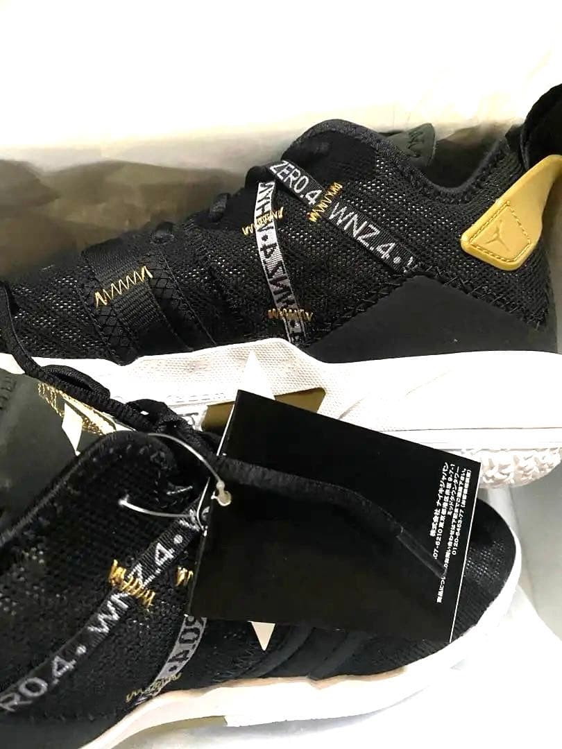新品 タグ付き Jordan ZERO4 WN 4 スニーカー 25㎝