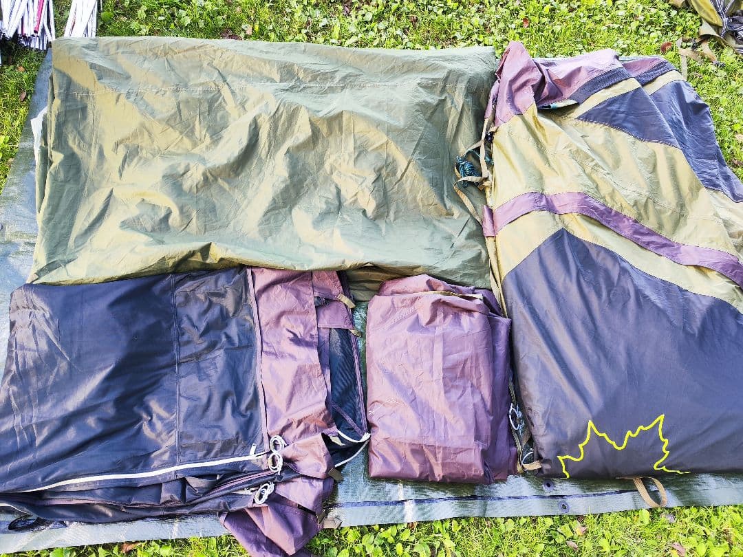 ebis様