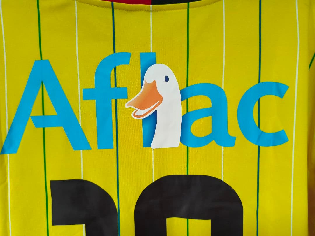 柏レイソル ホームユニフォーム Leandro Domingues 10番