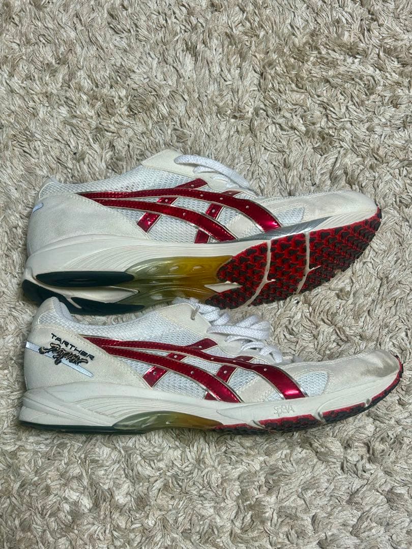 ASICS ターサージャパン　28cm