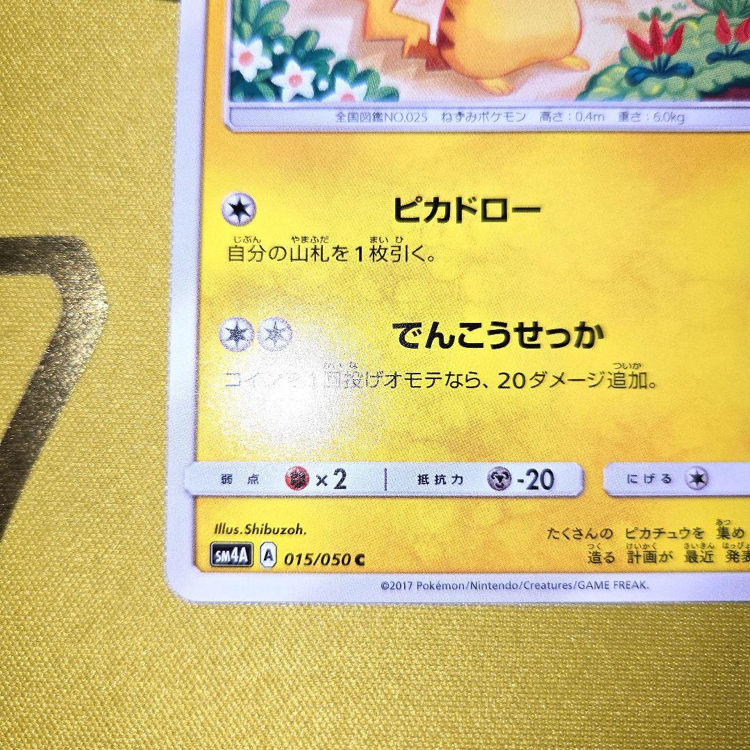2017年 超次元の暴獣　ピカチュウ