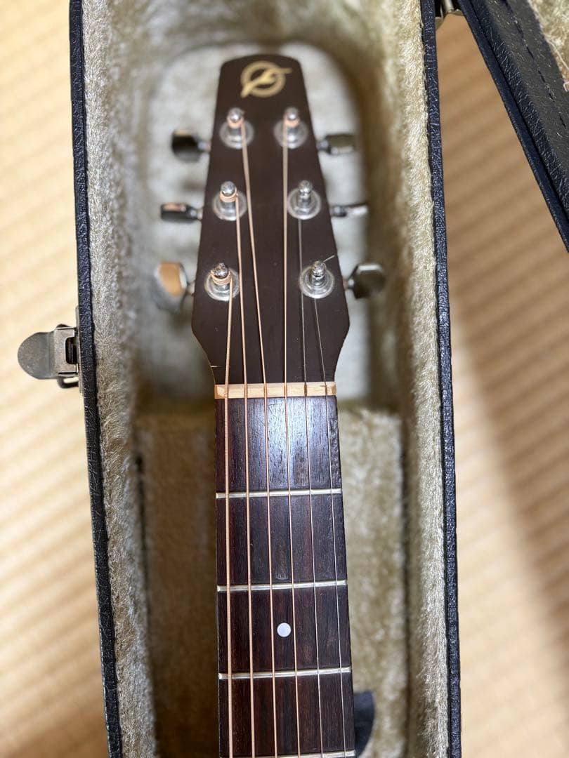 Seagull SM6Spruce カナダ製 fishman pu&ハードケース
