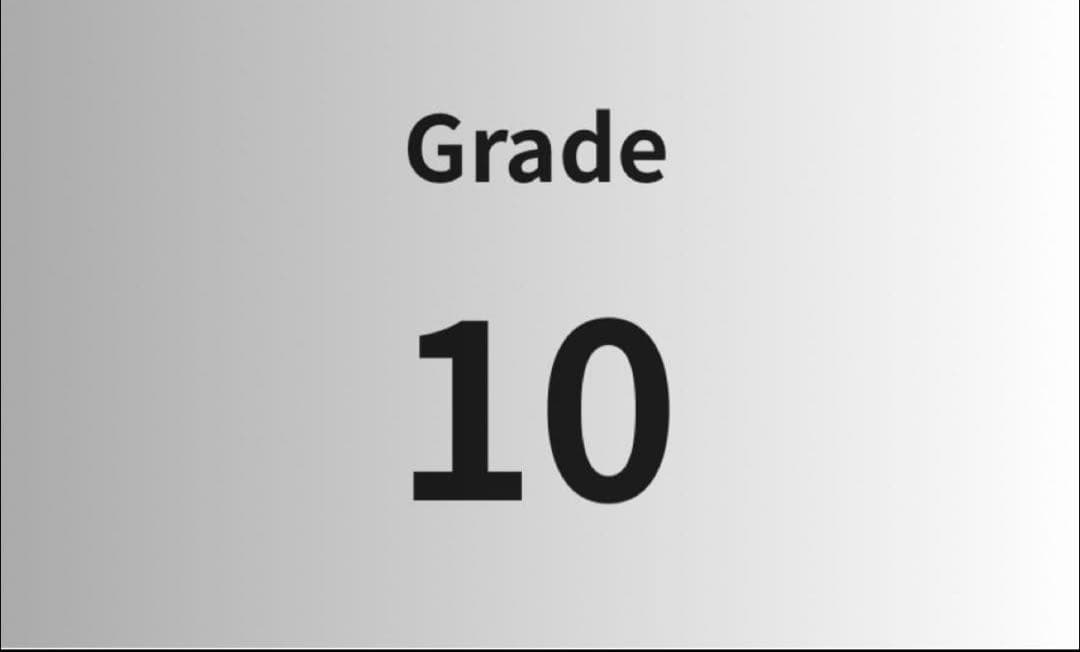 メガリザードンXex MA gemix 10 silver