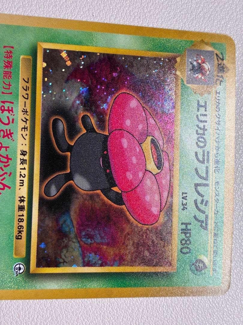 現物2枚 エリカのラフレシア など ポケモンカード　旧裏面　未使用　美品 ジム