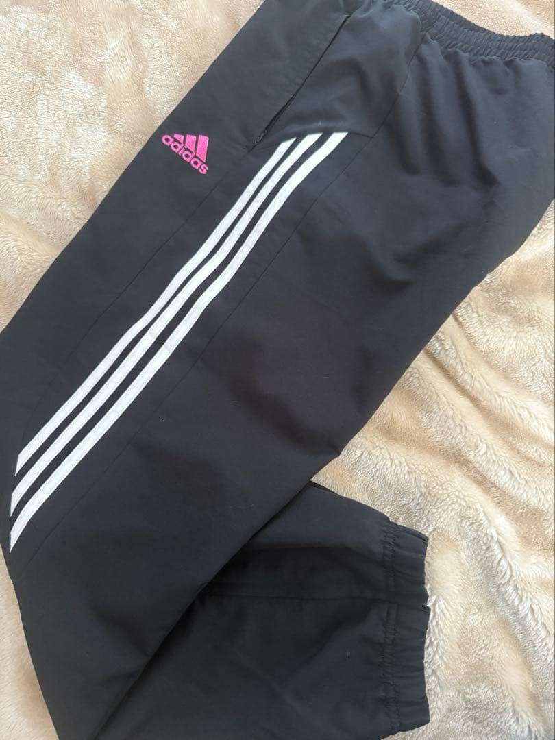 adidas 日本大学　ラグビー部　ジャージ 上下セット