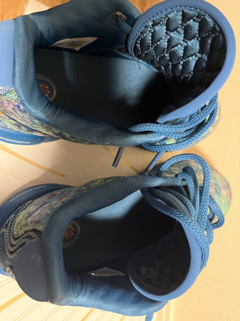 Nike lebron21 ep ナイキ レブロン21 27.5