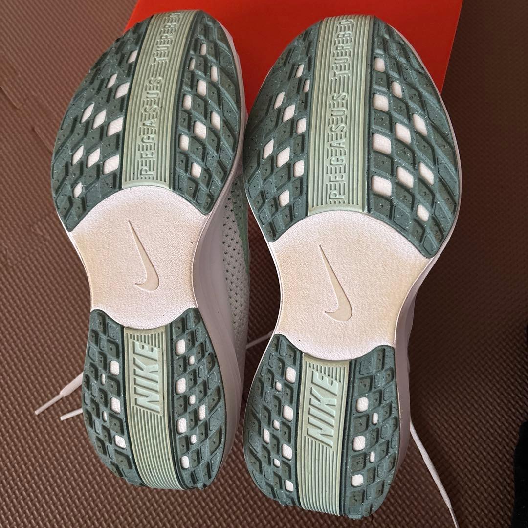 ペガサスプラス 25.0cm women 1.5km使用