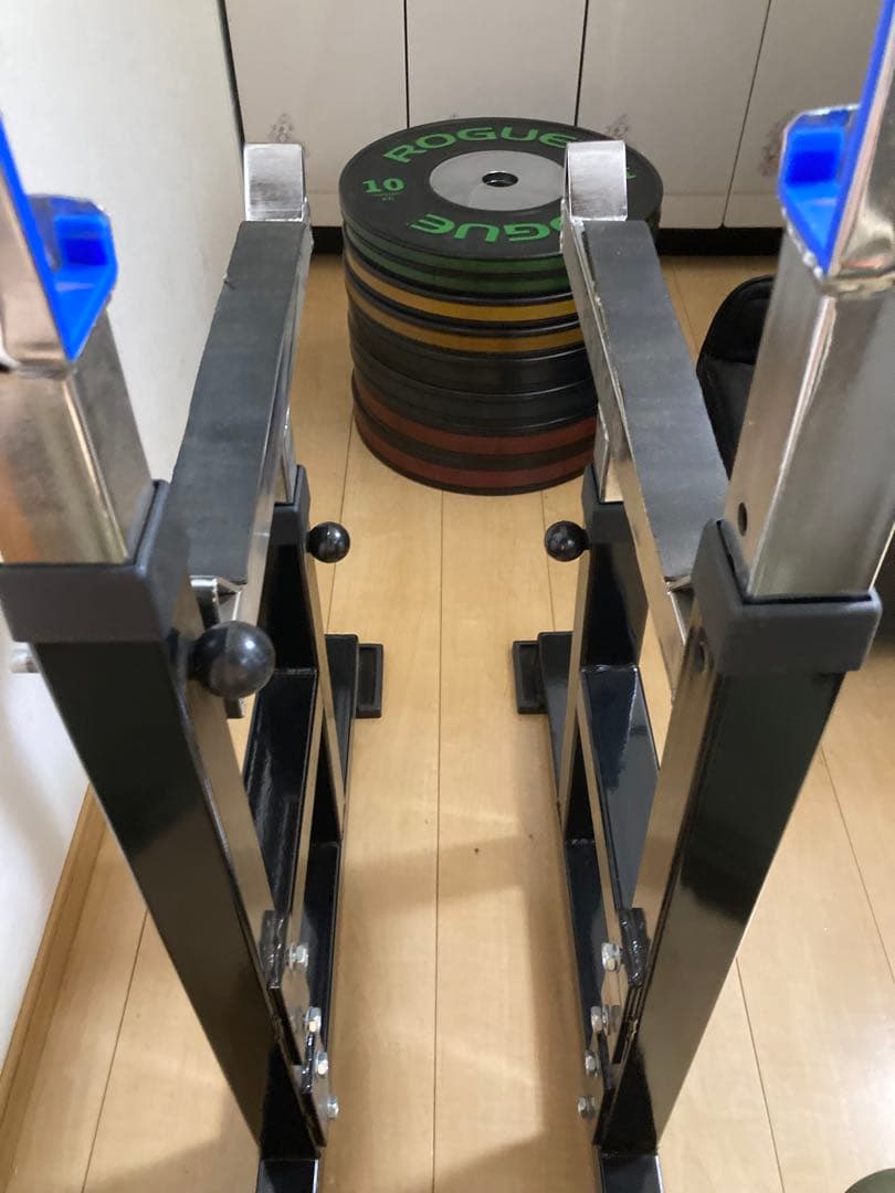 ROGUE ウエイトプレート 15kg 20kg 25kg