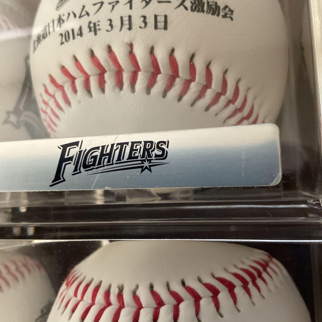 非売品 日本ハムファイターズ 激励会 記念ボール