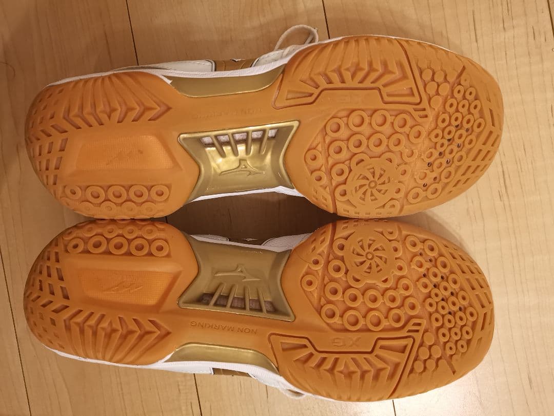 MIZUNO(ミズノ) バドミントンシューズ ウェーブファングPRO 27.5㎝