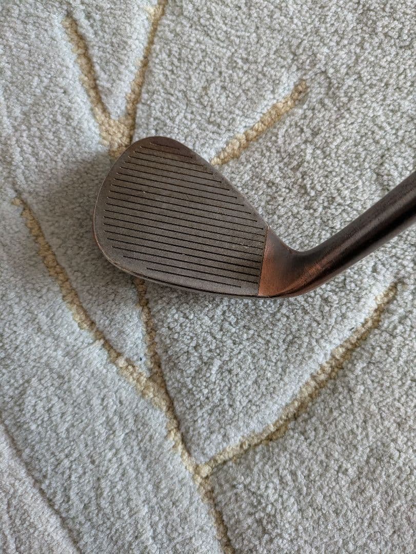 TayloMade HI-TOE ビッグフット60 ダイナミックゴールドS200