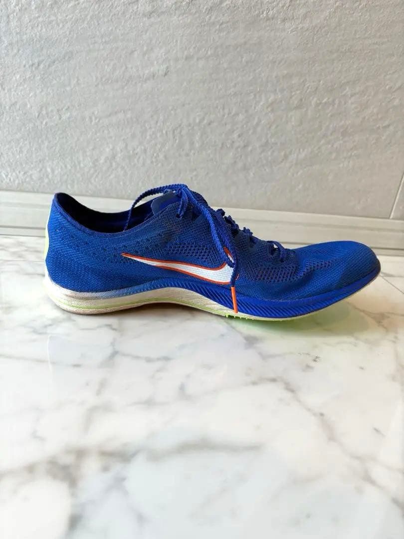 【25.5㎝】Nike ドラゴンフライ　ブルー