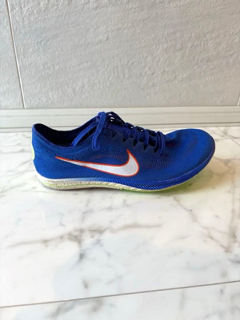 【25.5㎝】Nike ドラゴンフライ　ブルー