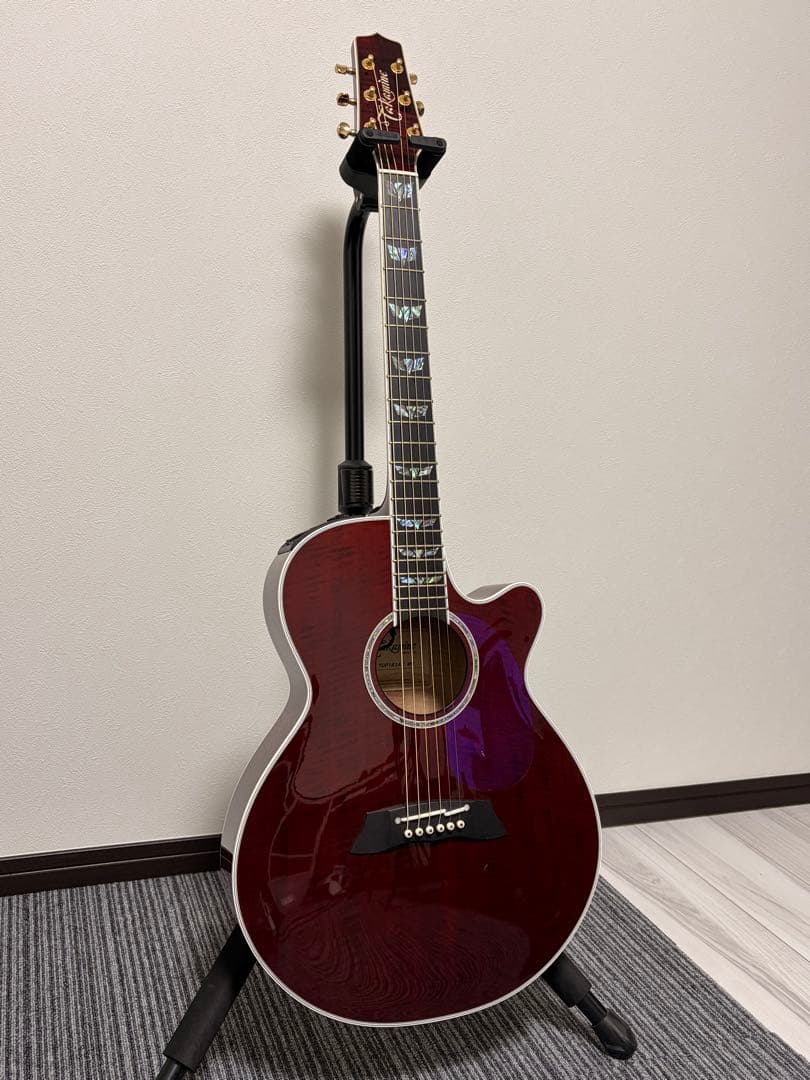 【美品】Takamine TDP181AC WR